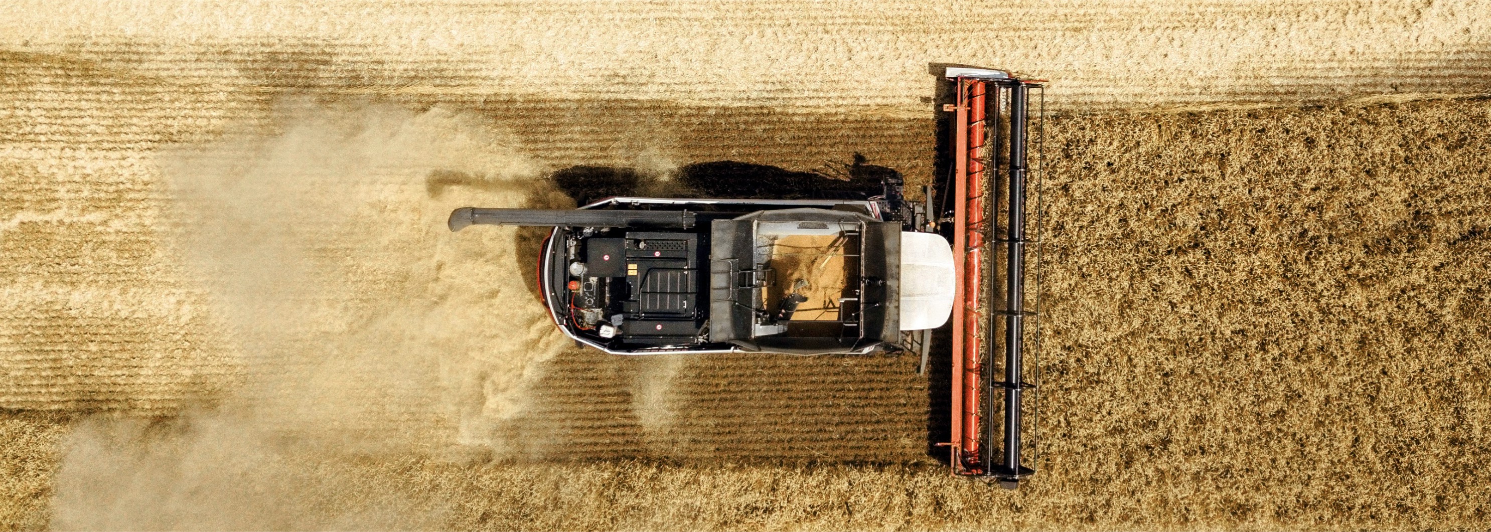 TORUM не подведет!