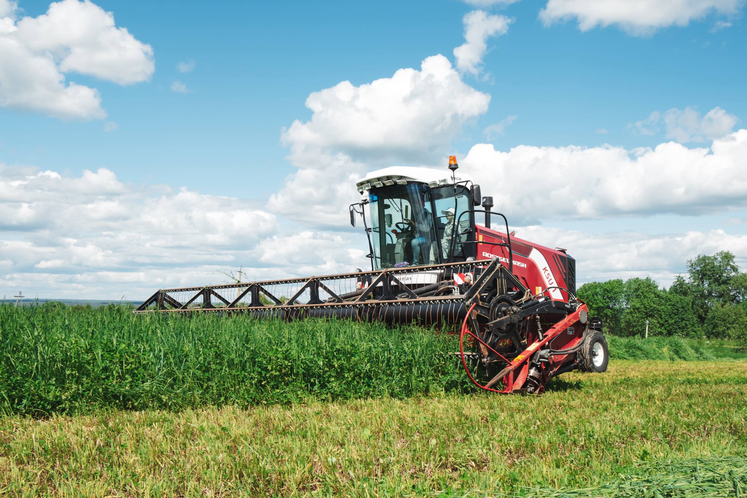 Покупай в 2025, а плати в 2026