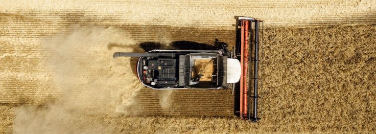 Торум сверху.jpg