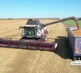 День поля 2022